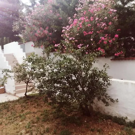 아파트 Camelias